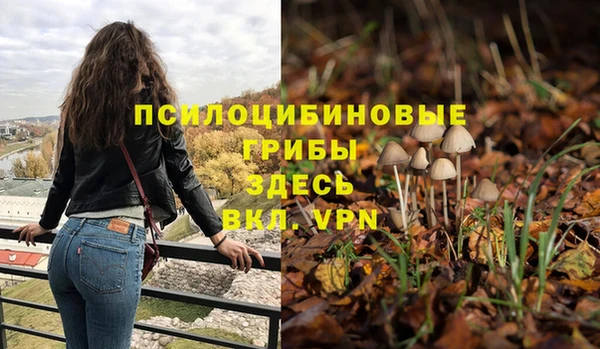 спиды Абдулино