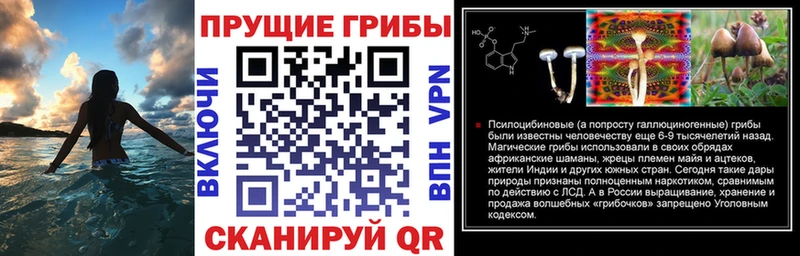 omg   Дмитровск  Галлюциногенные грибы Magic Shrooms 